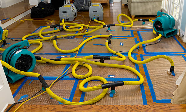 Professional Crawl Space Water Removal technician working in Moss, TN